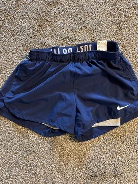 Nike Navy and White Women's Running Shorts